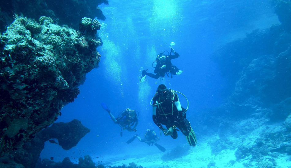 Die verborgene Unterwasserwelt in Dubrovnik