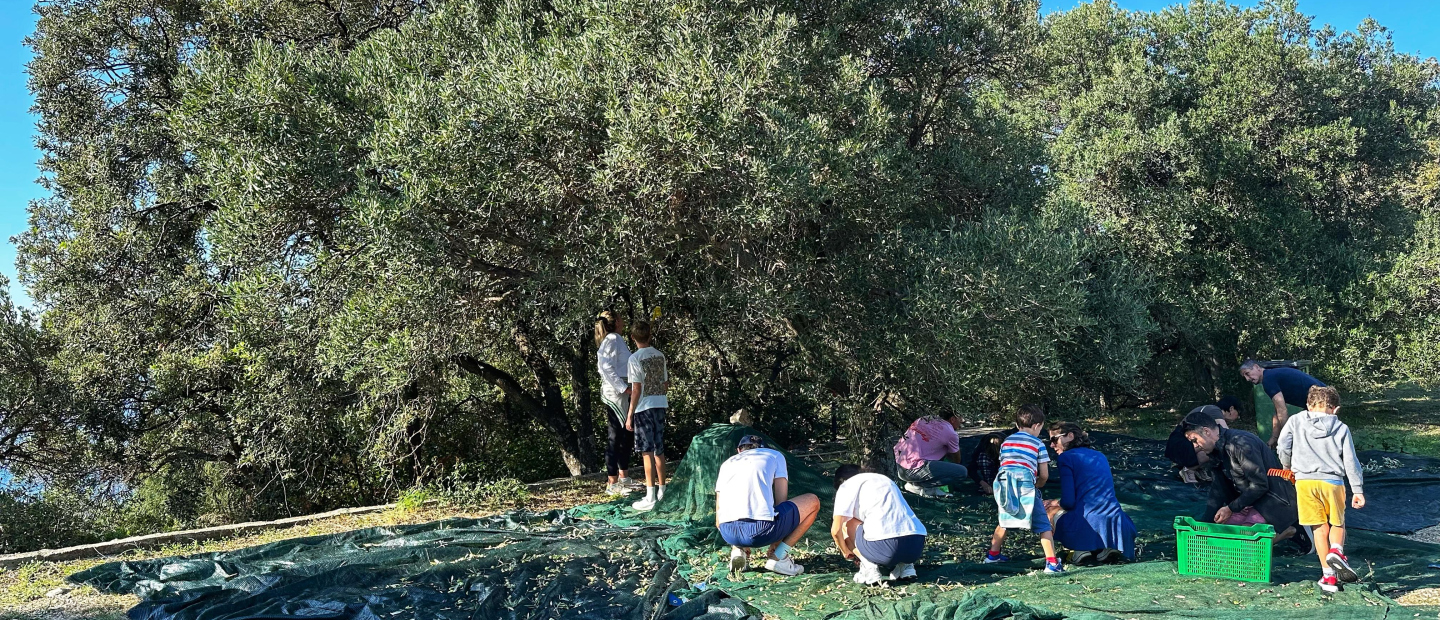 Family - Sustainability Family - Sustainability