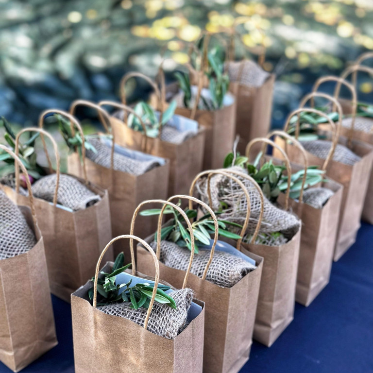 Celebrating the Olive Harvest Season