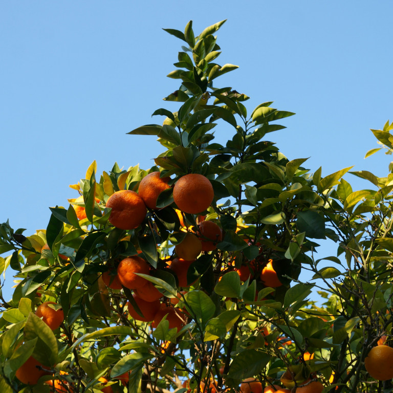 December Sustainability Highlights