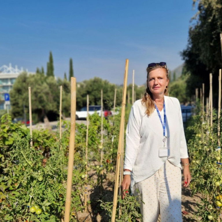 Certified Organic Farming in Our Garden
