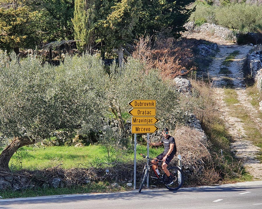 Cycling through olive groves Cycling through olive groves