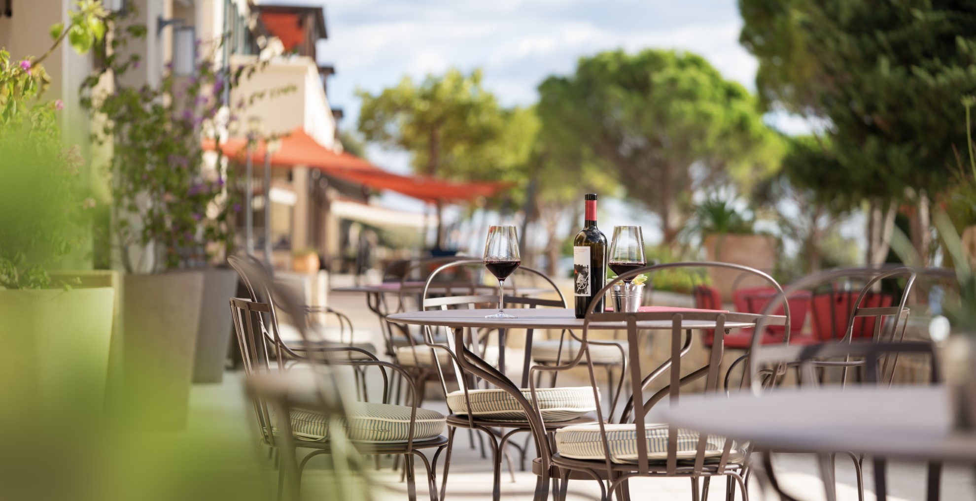 Differo Signature Bar