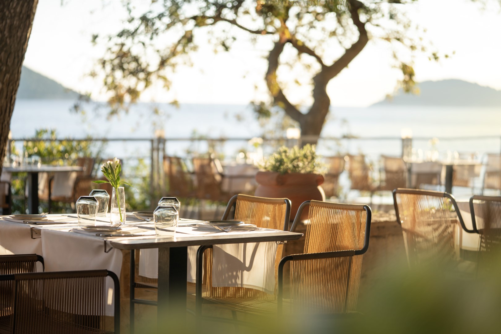 Cilantro Restaurant 2026