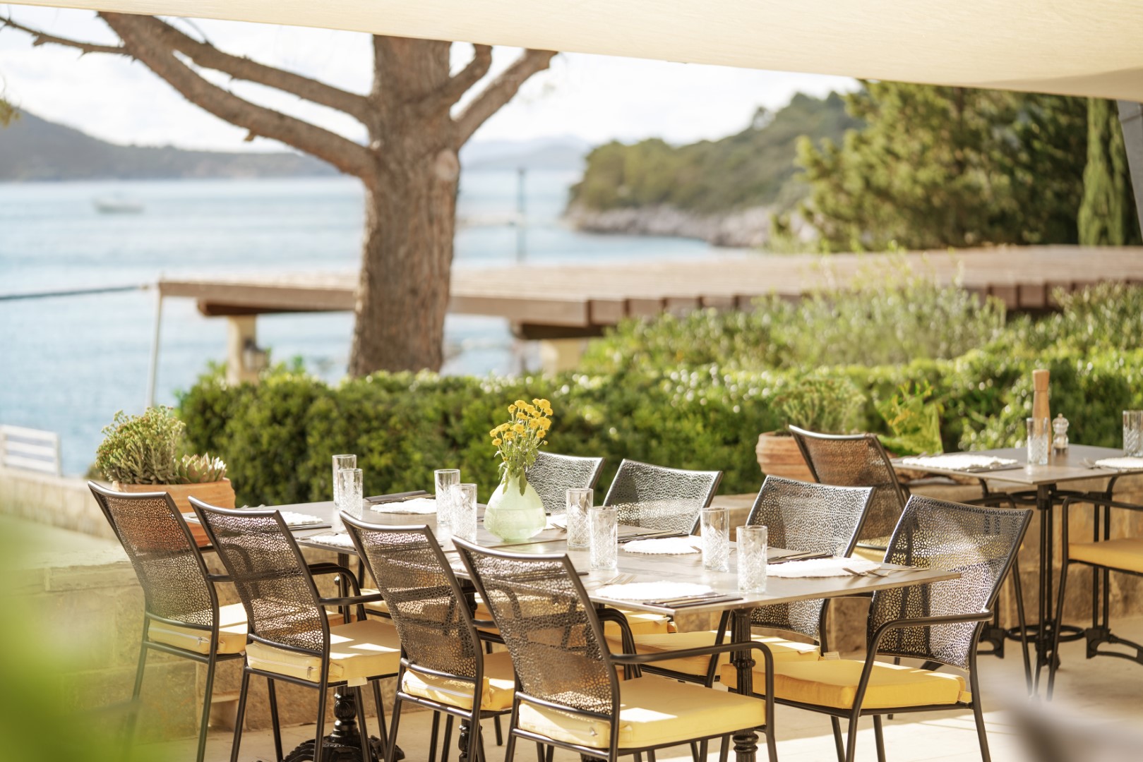 Veranda Restaurant 2026